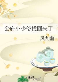 公府小少爷找回来了